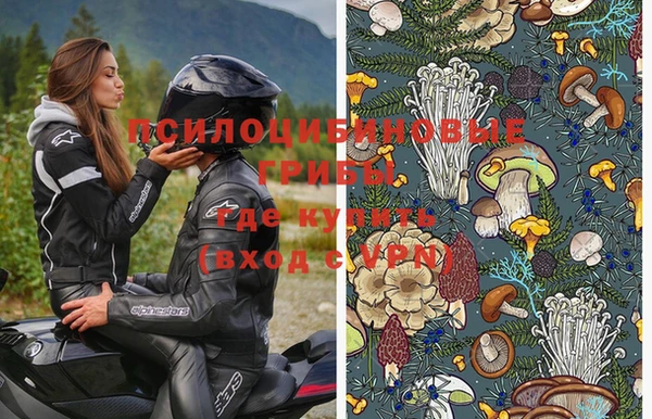 Альфа ПВП Баксан