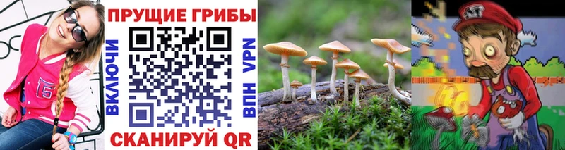Галлюциногенные грибы мицелий  Купить  Макарьев 